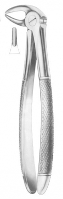  HERTZ (Fig. 211) lower incisors 
